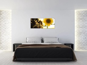 Obraz slnečnice (120x50 cm)