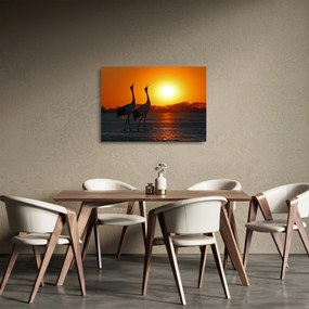 Sklenený obraz vtákov pri západe slnka (70x50 cm)