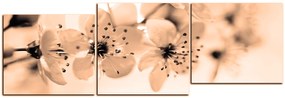 Obraz na plátne - Malé kvety na vetve - panoráma 5173FE (120x40 cm)