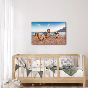 Obraz tiav (90x60 cm)