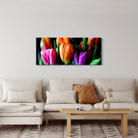 Obraz tulipánov na čiernom pozadí (120x50 cm)