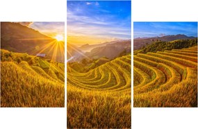 Obraz - Ryžové terasy vo Vietname (90x60 cm)