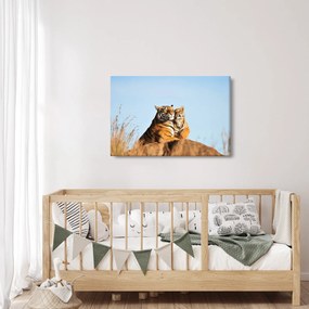 Obraz - Tigrice a jej mláďa (90x60 cm)