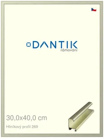 DANTIK rám na obraz 30x40 | ALU Šedá Pyrit broušená (Plexi Čiré)