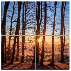 Obraz na plátne - Jesenné ráno v lese - štvorec 3251E (100x100 cm)
