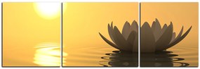 Obraz na plátne - Zen lotus - panoráma 5167C (120x40 cm)