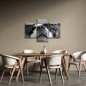 Obraz psa (90x60 cm)