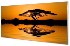 Obraz na skle Sunset tree 120x60 cm