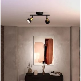 Philips - Bodové svietidlo CONDUIT 2xGU10/5W/230V čierna/mosadz