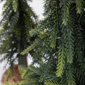 Vianočný stromček DULA 713682