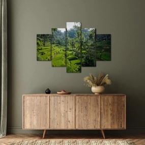 Obraz ryžových terás Tegalalang, Bali (150x105 cm)