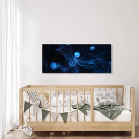 Obraz - Medúzy (120x50 cm)