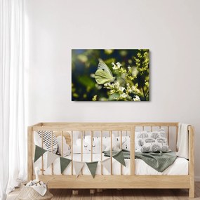 Obraz motýľa (90x60 cm)