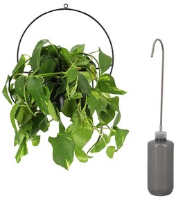 Kanva na polievanie Mini, 0,5 l, sivá