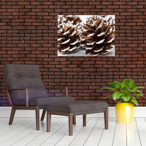 Sklenený obraz - Šišky (70x50 cm)