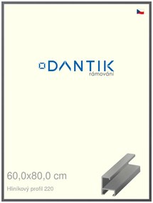 DANTIK rám na obraz 60x80 | ALU Ocelová (Plexi Čiré)