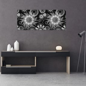 Obraz - Čiernobiele bodliaky (120x50 cm)