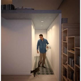 Philips  50393/11/P0 - SADA 3xLED Stmievateľné svietidlo SHELLBARK LED/4,5W/230V