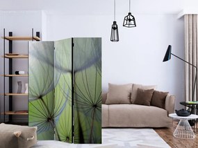 Artgeist Paraván - Fleeting moments [Room Dividers]