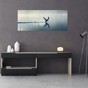Obraz - Potáplica (120x50 cm)