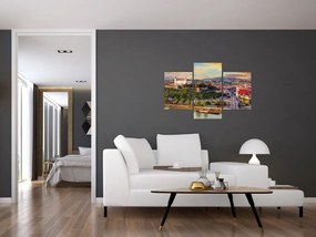 Obraz - Panorama Bratislavy, Slovensko (90x60 cm)