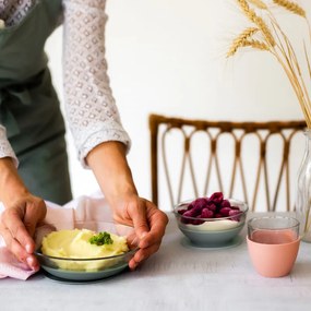 Jedálenská súprava sklenená s prísavkami Eucalyptus