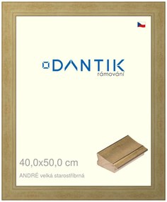 DANTIK rám na obraz 40x50 | ANDRÉ velká starostříbrná (Sklo Čiré)