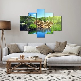 Obraz jazera v Seychelskej džungli (150x105 cm)