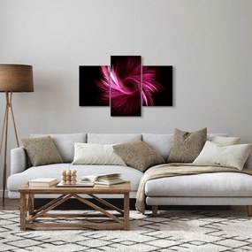 Obraz - ružová abstrakcia (90x60 cm)