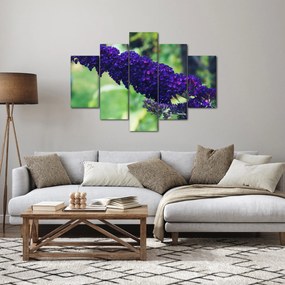Obraz modrej kvetiny (150x105 cm)
