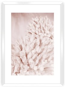 Plagát Pastel Pink II