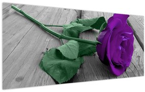 Obraz - Fialová ruža so zelenou stonkou (120x50 cm)