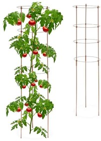 Podpera na rastliny 2ks 120cm hnedá, RD45124