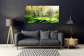 Obraz na akrylátovom skle Mech les príroda 120x60 cm