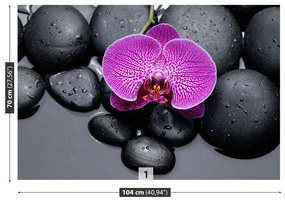 Fototapeta Vliesová Orchidea kamene 312x219 cm