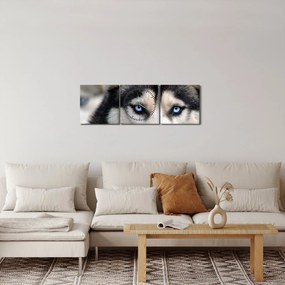 Obraz psa husky (s hodinami) (90x30 cm)