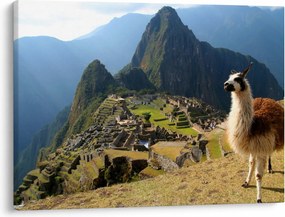 Obrázok - Lama a Machu Picchu (70x50 cm)