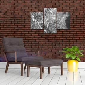 Obraz - Smrekový les (90x60 cm)