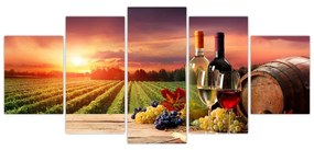 Obraz - víno a vinice pri západe slnka