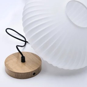 Luster na lanku HARMONY 1xE27/15W/230V pr. 30 cm biela/dub