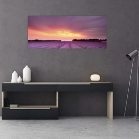 Obraz - Levanduľové pole (120x50 cm)