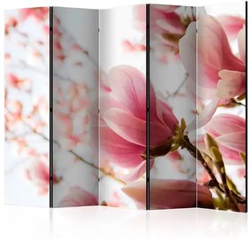 Paraván - Pink magnolia II [Room Dividers] Veľkosť: 225x172, Verzia: Obojstranný