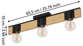 Eglo 43901 - Stropné svietidlo BAILRIGG 3xE27/40W/230V