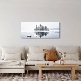 Obraz- Bolo bielo (120x50 cm)