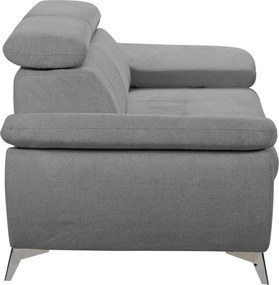 Dvojsedák Gisele, stredne šedá