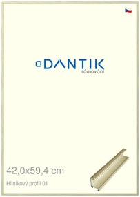 DANTIK rám na obraz 42x59,4 | ALU zlatá lesklá alternativa (Plexi Čiré)