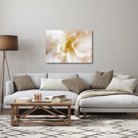 Obraz - Kvet (70x50 cm)