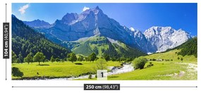 Fototapeta Vliesová Panorama álp 250x104 cm