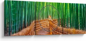 Obraz - Japonský bambusový les (s hodinami) (90x30 cm)