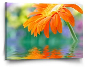 Sablio Obraz Oranžová gerbera - 90x60 cm